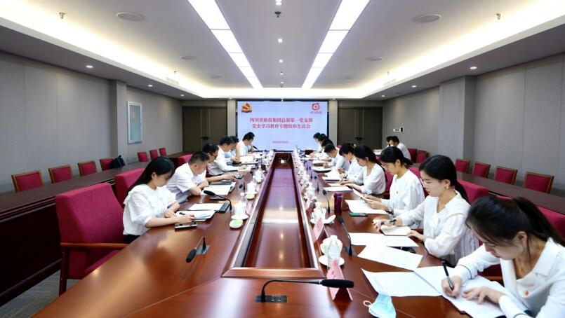 尊龙凯时集团党委书记、董事长任丁参加总部第一党支部党史学习教育专题组织生活会