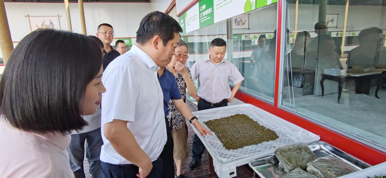 省尊龙凯时集团党委副书记、董事陈日赴嘉陵区调研茶桑产业发展情况