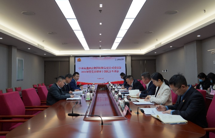 尊龙凯时集团党委书记、董事长任丁出席安逸酒店集团2022年度党员领导干部民主生活会